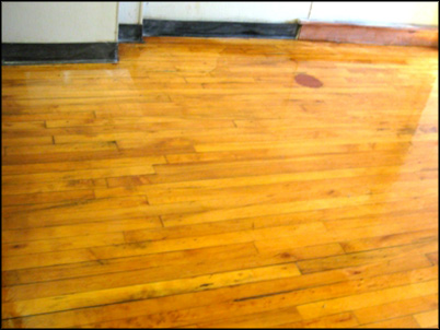 Durral Concrete Floor Coatings, Hardwood Floor Warehouse